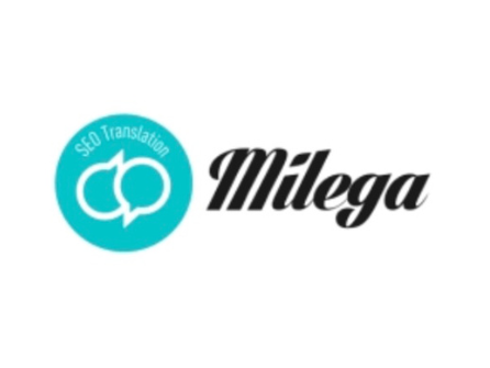 Consulting SEO - Milega cover